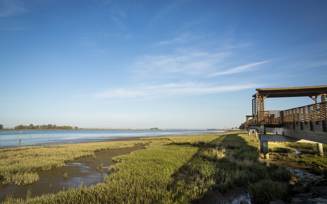 Los ciudadanos de Huelva y Palos puntúan con notable alto la gestión del Puerto de Huelva en un estudio realizado
