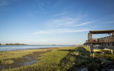 El Puerto de Huelva instalará sensores para monitorizar parámetros medioambientales