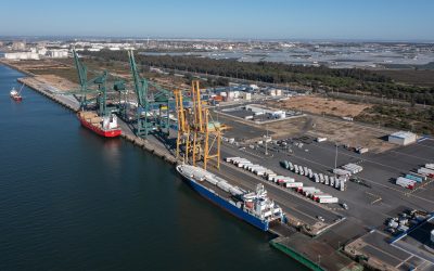 El Puerto de Huelva comenzará en breve la pavimentación de la zona norte del Muelle Sur para aumentar su capacidad operativa